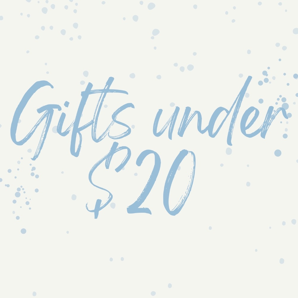 NWT GIFTS UNDER $20